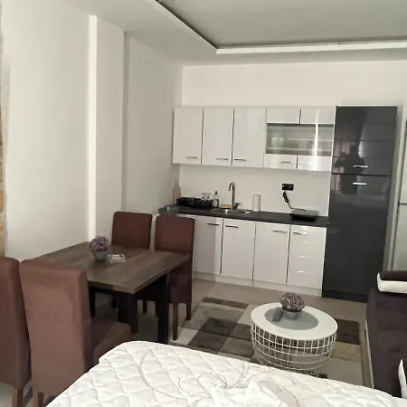 Apartament Garden Concept